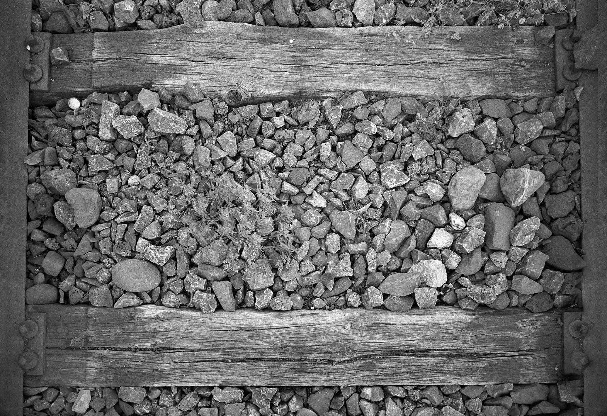 2018 09 16 CLE  (33)